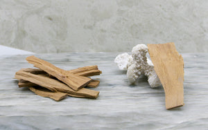 Hawaiian Sandalwood (Santalum ellipticum)
