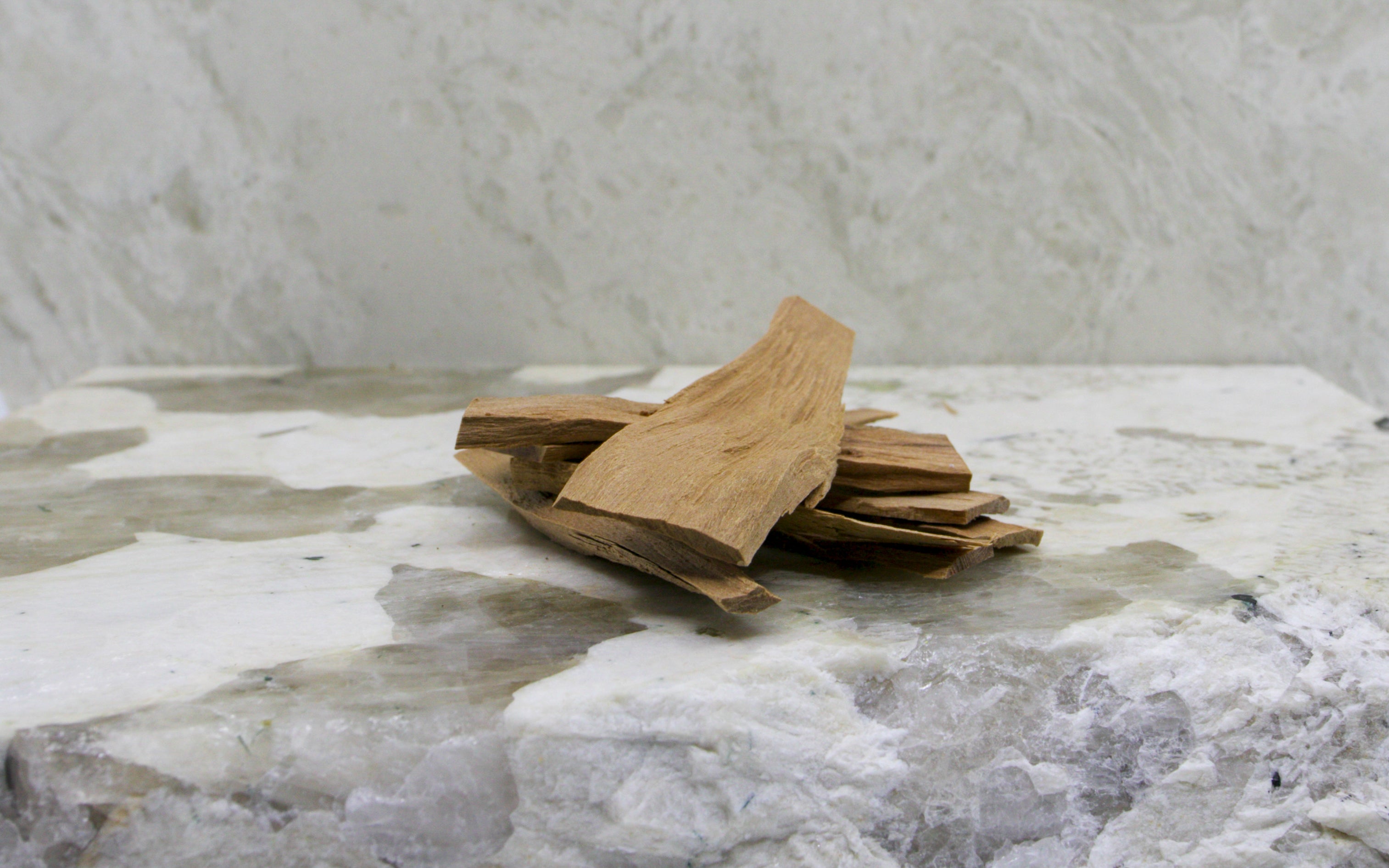 Hawaiian Sandalwood (Santalum ellipticum)